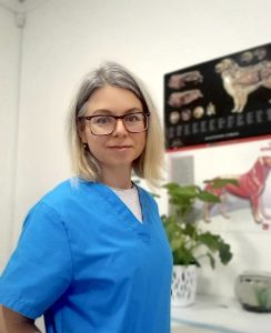 savchenko olga oleksandrivna